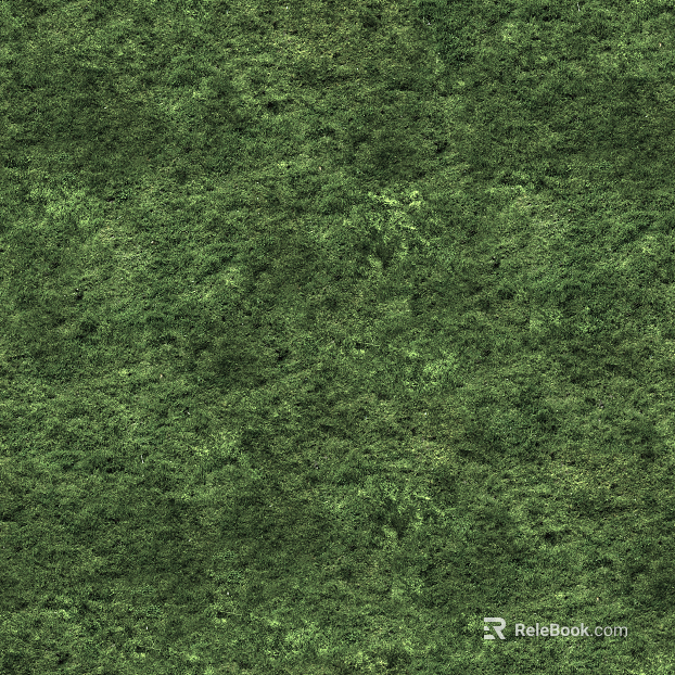 Lawn Sod Grass texture
