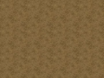 Sepia Texture Wall Paint texture (ID:ffaeh848934)