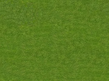 ground grass lawn turf plants sand texture (ID:ffach034774)