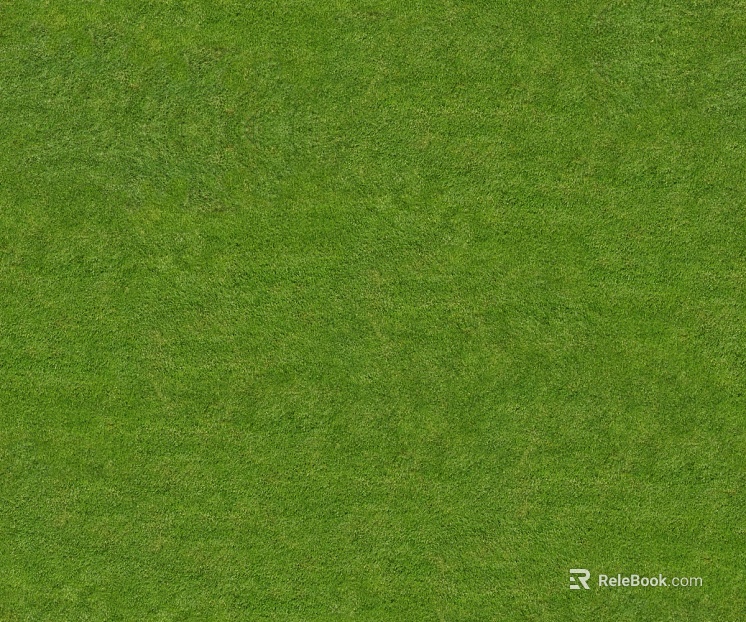 ground grass lawn turf plants sand texture