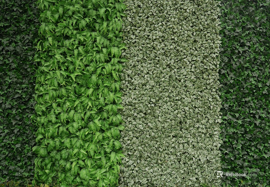 Plant wall texture