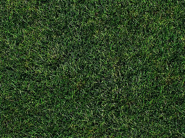 Turf 3d model