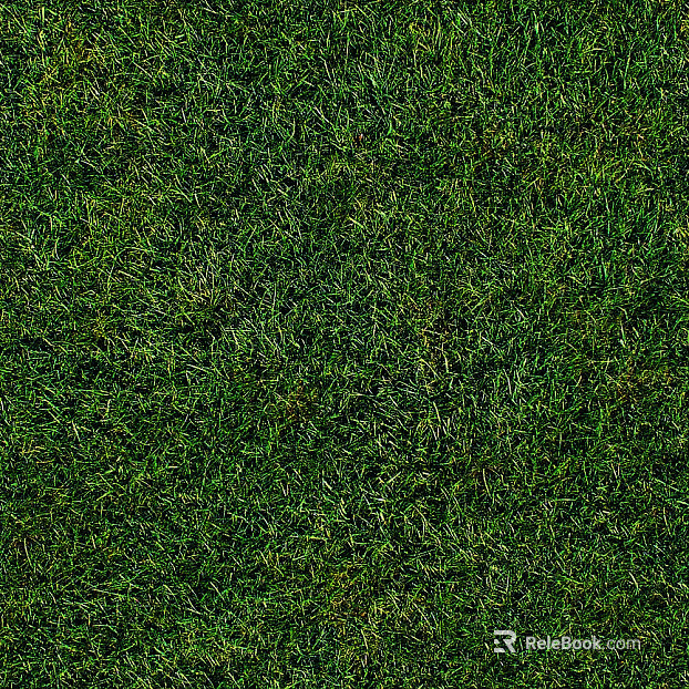 Turf texture