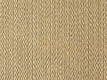 striped carpet 3d model