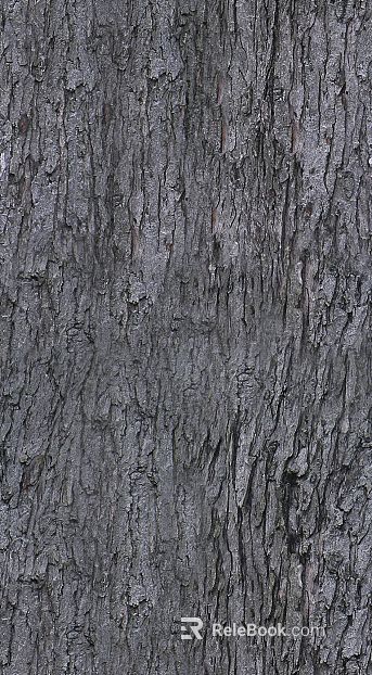 bark texture
