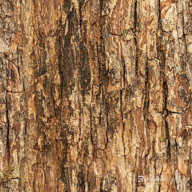 Wooden bark wood veneer wood wood bark trees texture