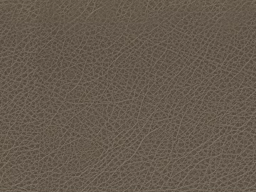 fine grain leather 3d model