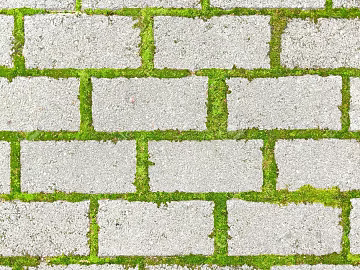 grass-planting brick texture (ID:ffaeg52420)