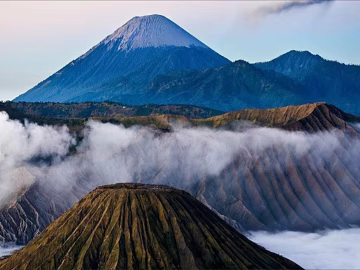 Wild Scenery texture (ID:ffajg64886)