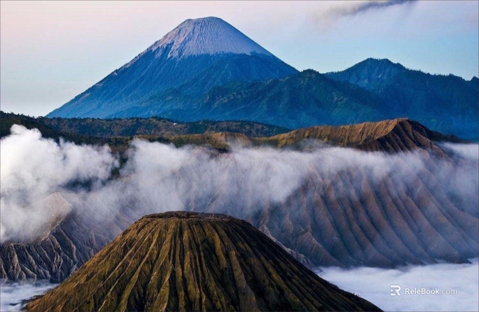 Wild Scenery texture