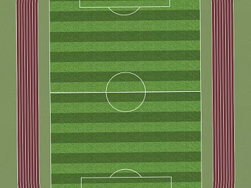 football field texture (ID:ffaff9891)