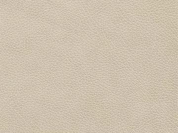 Coarse-grain leather texture (ID:ffacg95710)