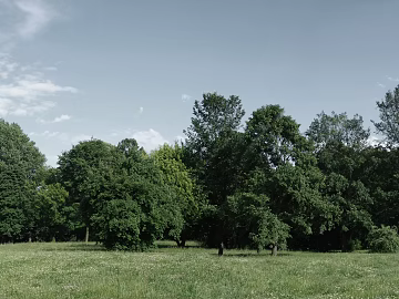 Residential Exterior texture (ID:ffagg92198)