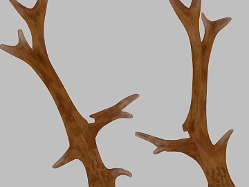 Branch texture (ID:ffagg81011)