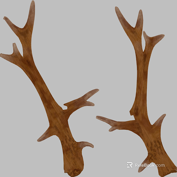 Branch texture