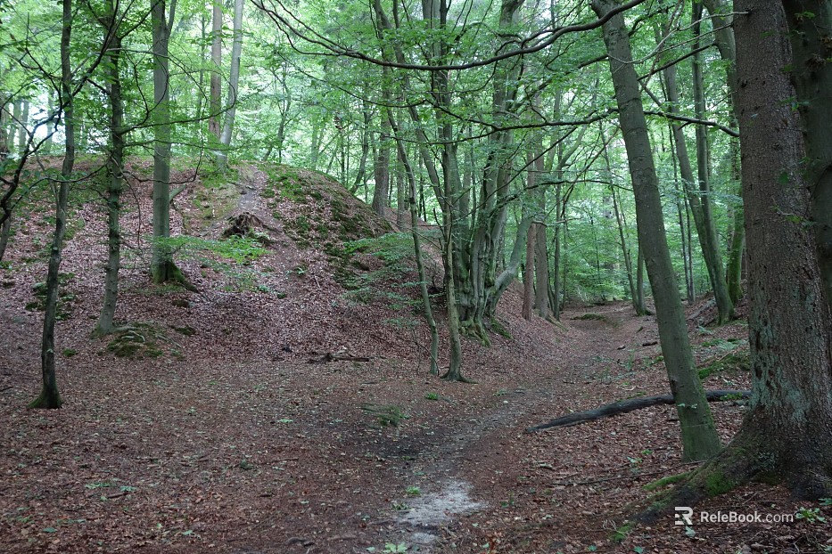 Wild Scenery texture