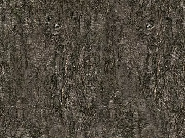 bark texture (ID:ffacg73926)