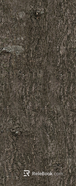 bark texture