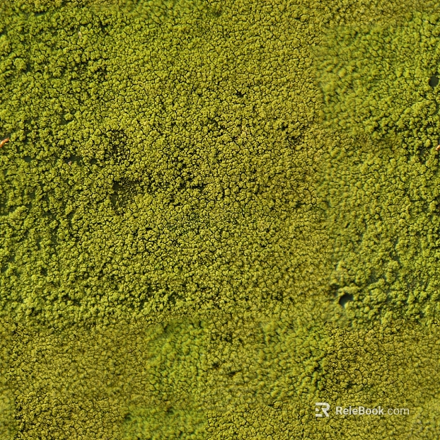 moss texture