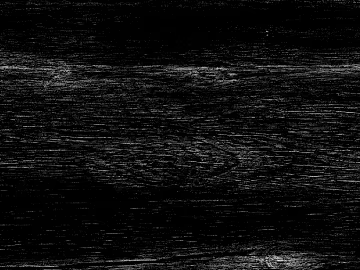 Black and white wood grain texture (ID:ffaag23022)