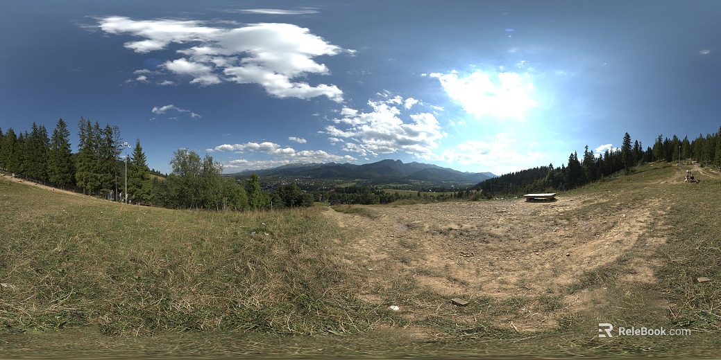 Outdoor Forest Meadow Sunny Day Day HDR texture