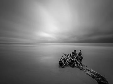 black and white painting texture (ID:ffagg70293)