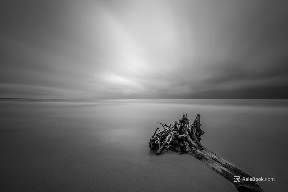 black and white painting texture