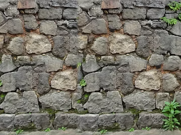 Green Planting on Cultural Stone Wall texture (ID:ffajf8169)