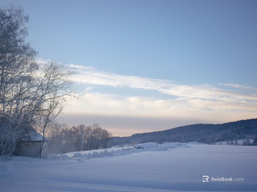 Snow texture