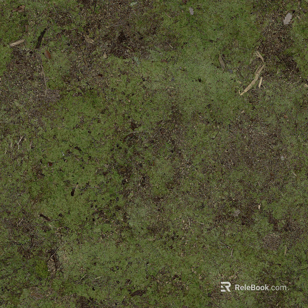 moss texture
