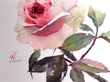Flower Painting Hanging Painting Decorative Painting Plant Painting texture (ID:ffach519220)