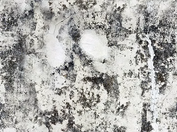 cement black and white dirt cement seamless texture (ID:ffacg00821)