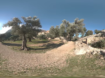 Outdoor Grass Trees Daytime Sunny Day HDR texture (ID:ffabg32381)