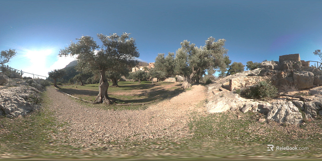 Outdoor Grass Trees Daytime Sunny Day HDR texture