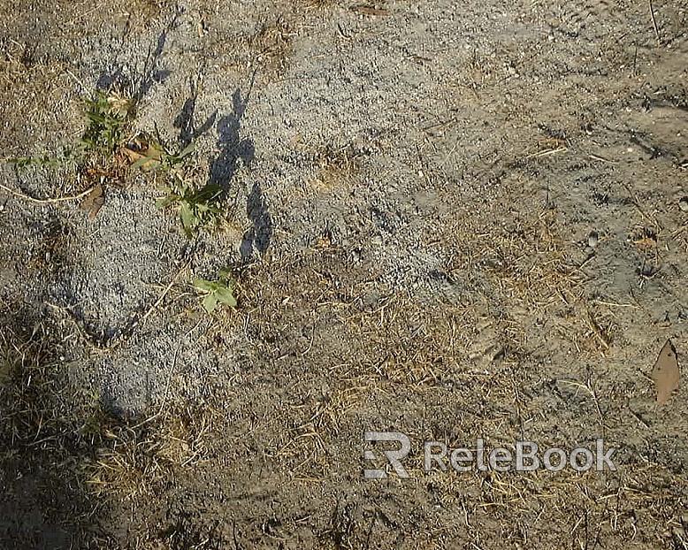 A black and white image of a textured, cracked mud surface, resembling a dried-up lake bed or river delta, with intricate patterns and shades creating depth and dimension.