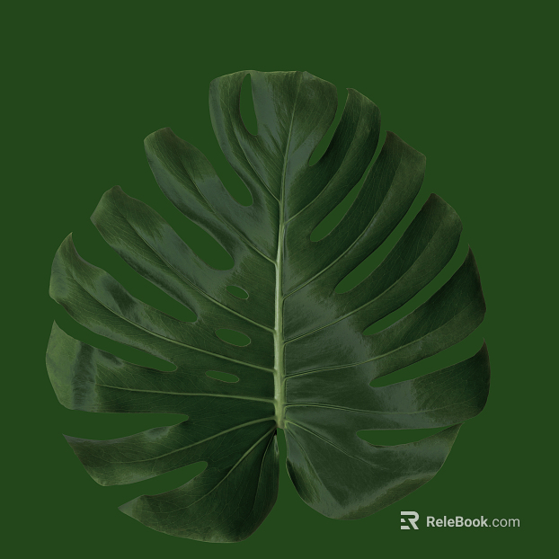 leaves texture