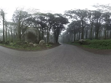 Outdoor Forest Road Daytime HDR texture (ID:ffabg33011)