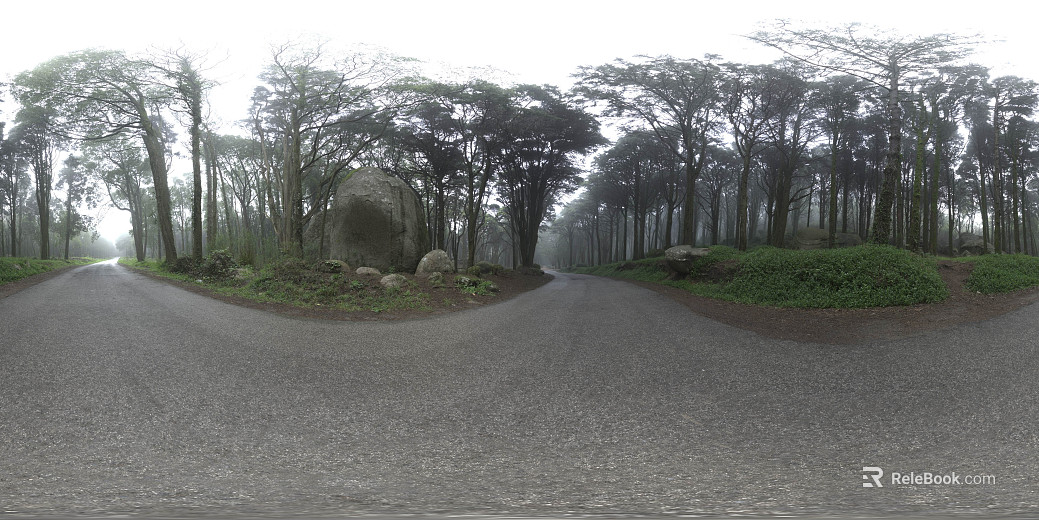 Outdoor Forest Road Daytime HDR texture