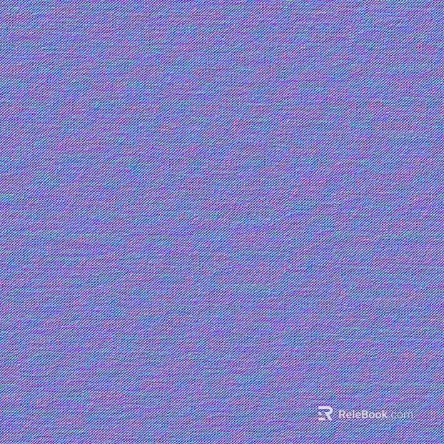 Normal Bump texture