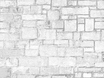 Black and White Bump 3d model