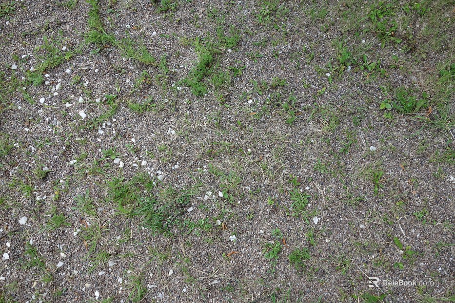 Grassland texture