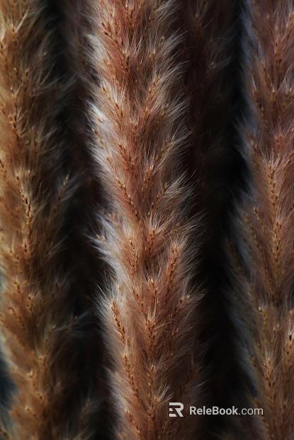 Plant painting texture