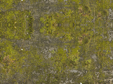 moss texture (ID:ffaag37486)