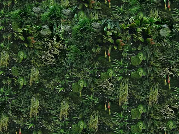 Plant wall texture (ID:ffacg54830)