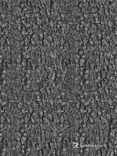 black and white bark texture