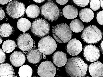 Black and White Log Cross Section Wood Raw Material texture (ID:ffaeh059266)