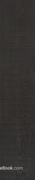 Dark gray walnut interior siding texture