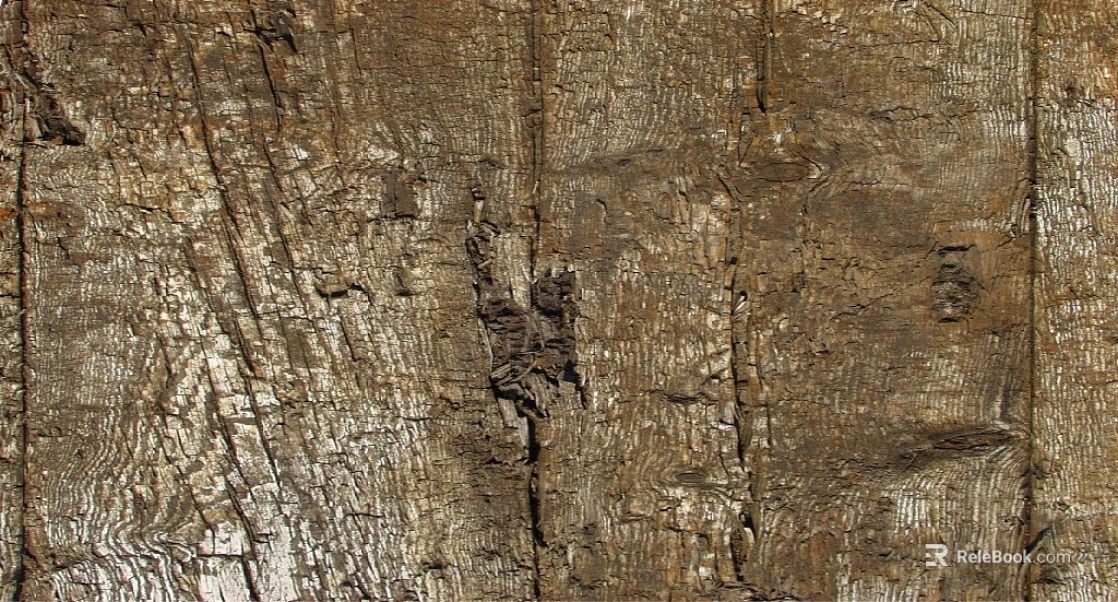 bark texture