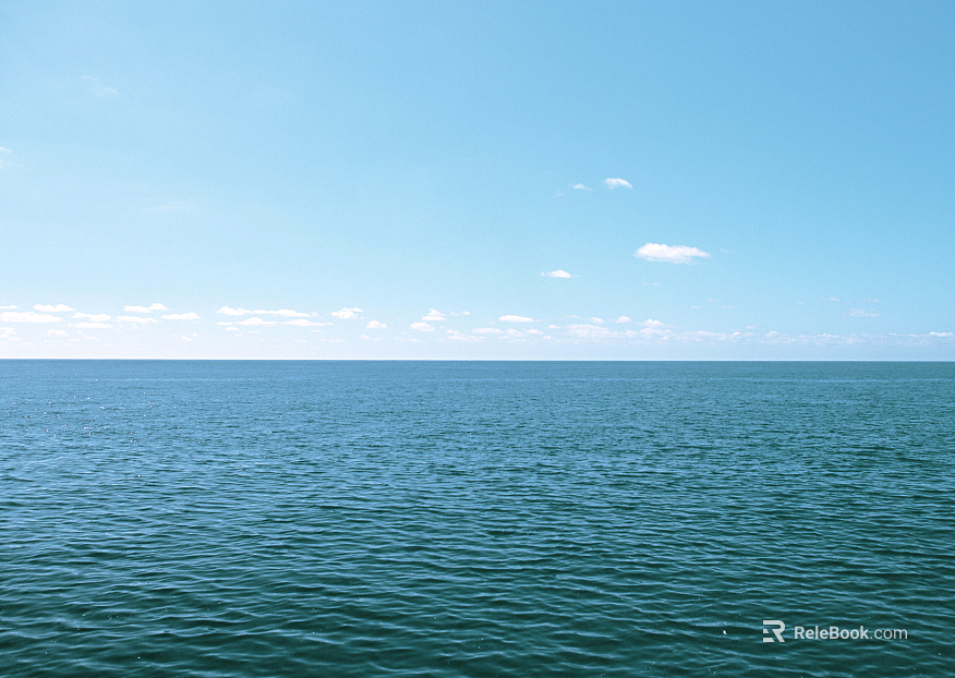 Wild Scenery texture