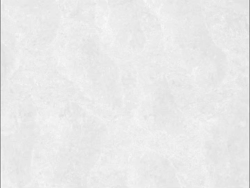 Plain Tile 3d model